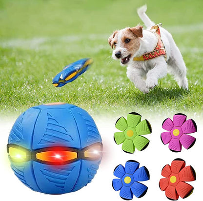 ALPINE PAWS DOG FRISBEE