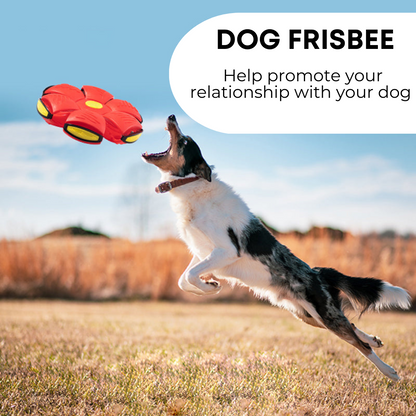 ALPINE PAWS DOG FRISBEE